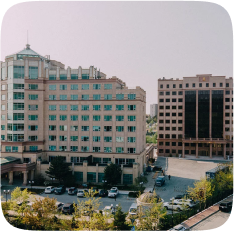 Мега Палас